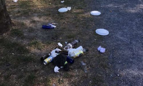 Créer des emplois de police de l'environnement