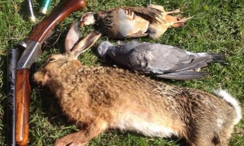 Pour la démission du Président de la Société Protectrice des animaux qui se revendique ancien chasseur