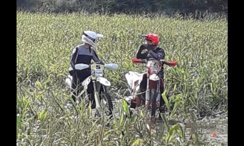 Contre la suppression du Magazine Auto-Mobile