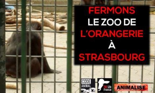 Pour la Fermeture du Zoo de l'Orangerie à Strasbourg