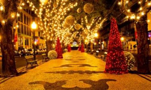 Ensemble pour une d&eacute;coration de No&euml;l &agrave; Tours Nord !