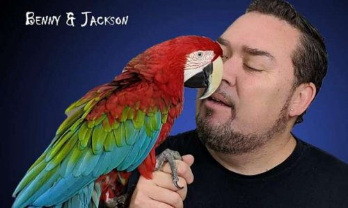 Laisser voyager Jackson en cabine