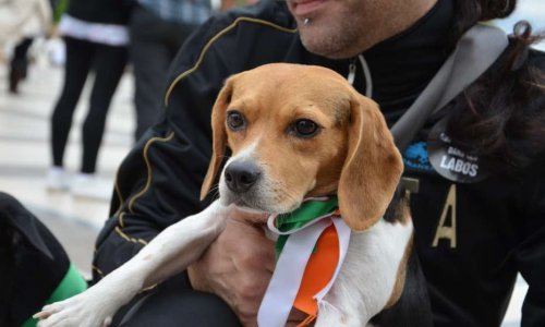 Téléthon : des vérités trop longtemps cachées !