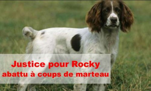 Massacré à coups de marteau : peine maximale pour le bourreau de Rocky