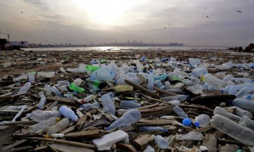 Boycottons les jouets en plastique pour Noël