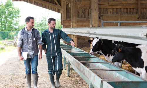Aidons nos agriculteurs à percevoir un salaire