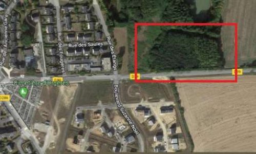 Orgères, préservons notre biodiversité : Non à l'implantation d'un terrain d'accueil des gens du voyage sur une zone boisée protégée.