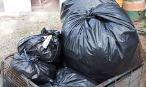 On ne veut pas de rats !