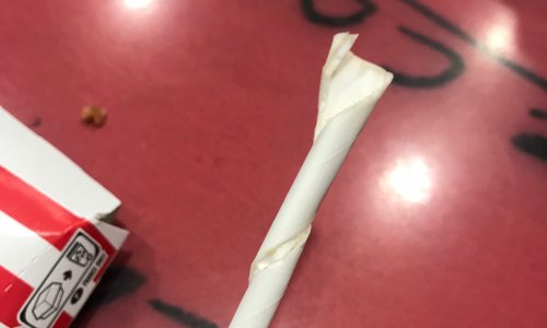 RETOUR AUX PAILLES EN PLASTIQUE !