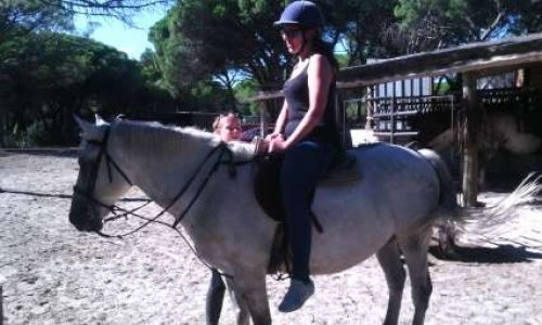 STOP AUX TORTURES DES ABATTOIRS