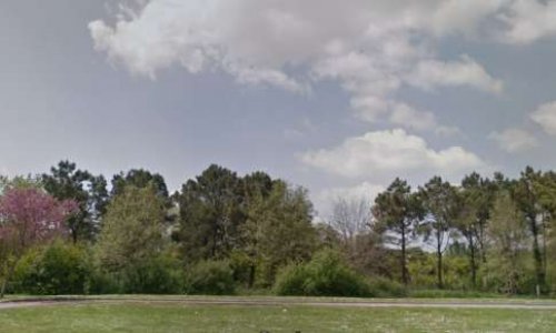 Sauvons la forêt du collège