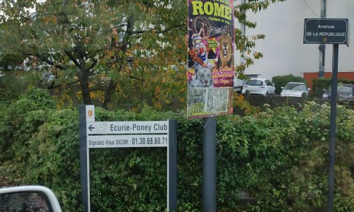 Stop aux animaux dans le cirque de Rome