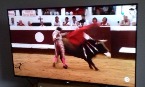 Interdiction de diffusions de corridas à la Télévision !