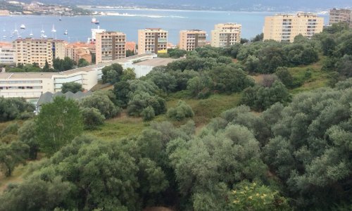 AJACCIO URGENT - VÉGÉTAL contre BÉTON