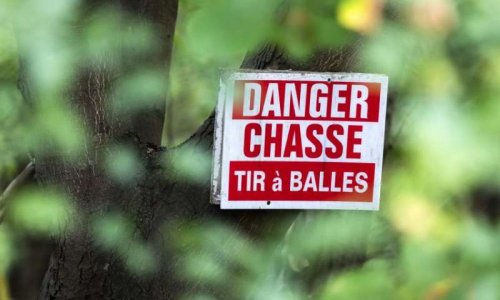 Interrompre la chasse les dimanches après-midi par révision de l'Arrêté Préfectoral