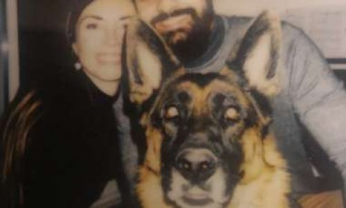 Chienne tuée par un chasseur : soutenons la plainte de ses maîtres qui demandent justice !