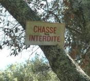 1.000.000 de Signatures contre la Chasse à Courre en France