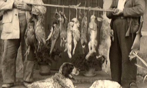 Limitons la chasse à 1 seul jour par semaine (hors WE et mercredi) !