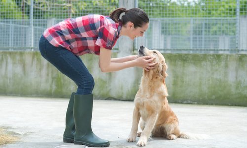 L'engagement des éleveurs responsables