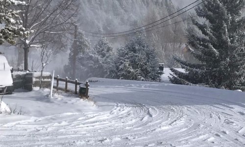 POUR LA REPRISE DU TRAFIC DES INTERCITÉS DE NUIT PARIS-LATOUR DE CAROL