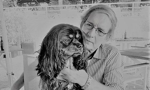 Nous demandons une trêve pour cette fin d'année, pour Noël, que les transports fonctionnent.