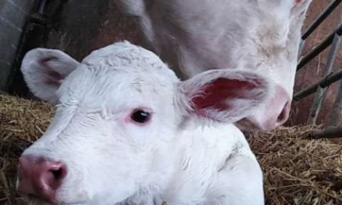 Laissons les agriculteurs et nos villages tranquilles !