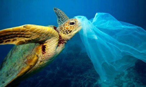 Eau potable et bouteilles en plastique