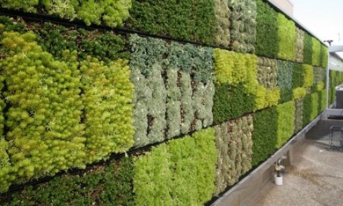 Pour la création d’un mur antibruit à Houilles