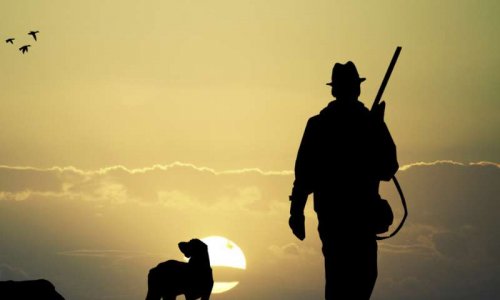 Pour l'interdiction de la chasse