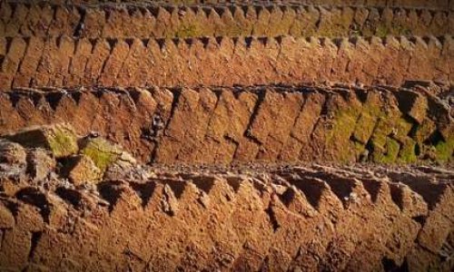 Protégeons les tourbières, nos alliés pour la sauvegarde du climat