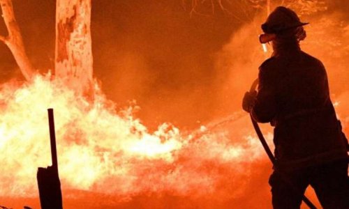 Aidons les pompiers Australiens