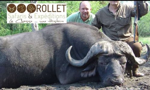 Stop à la chasse en safari