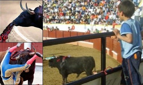Soutenons l'interdiction des corridas aux mineurs