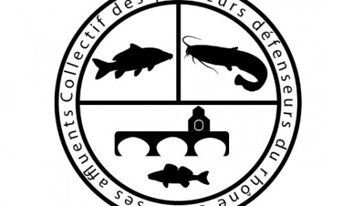 Pour le sauvetage des poissons du Rhône et de ses affluents