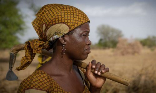 Restaurer les terres au Sahel, une solution pour la paix - Aidez-nous à agir - #SOSSAHEL