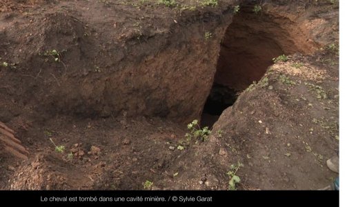 Dégageons ce cheval tombé dans cette galerie minière !
