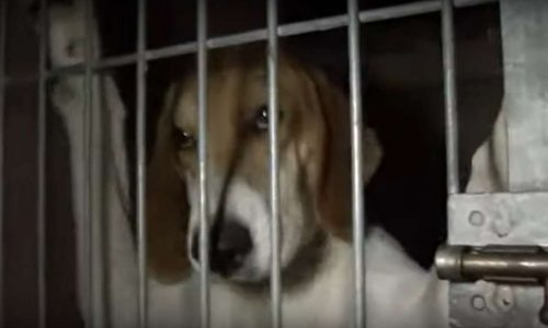 SORTONS LES DE L'ENFER