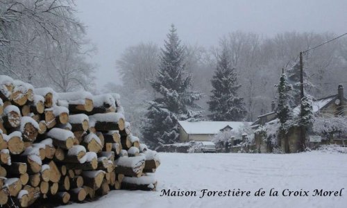 Non à l'expulsion d'un couple de forestiers retraités