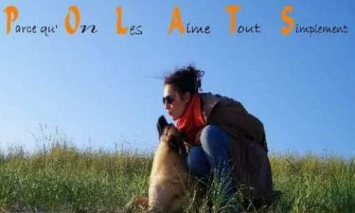 Pour la stérilisation obligatoire des animaux 