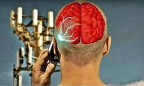 5G DANGER ! A VENCE, APPLIQUONS LE PRINCIPE DE PRÉCAUTION