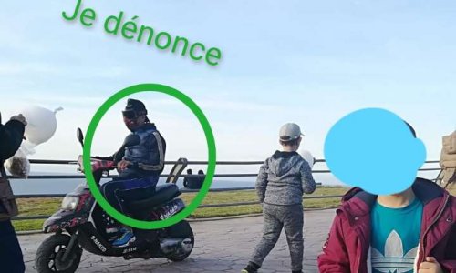 Dénoncer les scooters qui envahissent les jardins