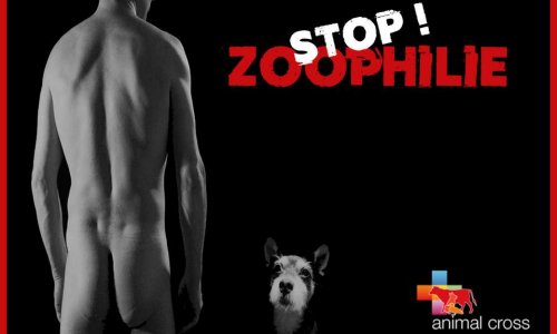 Stop à la diffusion d’images et d’annonces zoophiles sur internet !