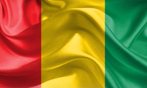 STOP aux violences et tueries des Forces de Défense et de Sécurité (FDS) en Guinée, et JUSTICE pour les victimes!