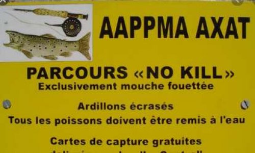 Manifeste contre les No-kill pêches sélectifs