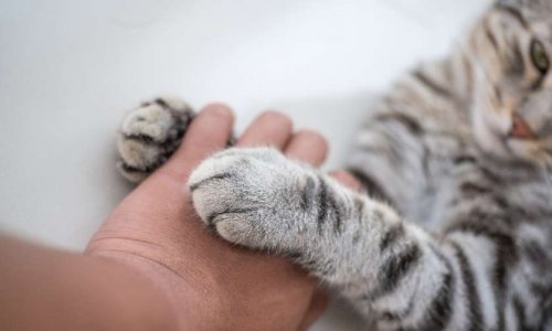 Habitants du quartier Robinson, bougeons pour éviter un nouveau drame !