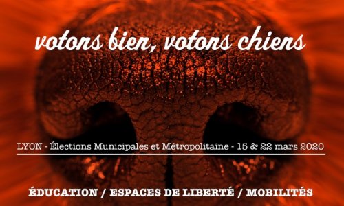 VOTONS BIEN, VOTONS CHIENS. Élections Lyon.