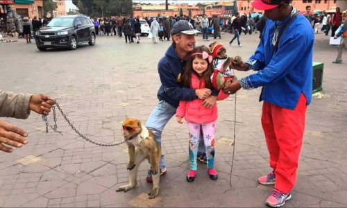 STOP À LA COMPLICITÉ DES TOURISTES DANS L’EXPLOITATION ANIMALE