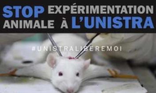 Marche #UnistraLibèremoi Samedi 22 Février 2020 à 14h à Strasbourg