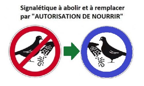Oiseaux : nourrir ou pas nourrir ? Alarmante disparition des oiseaux.