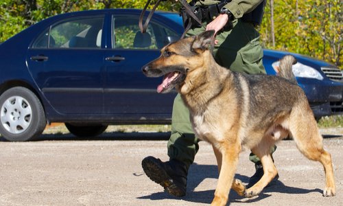 Candidats aux municipales d'Orléans : que comptez vous faire une fois élu pour lutter contre la drogue dans les rues du centre ?